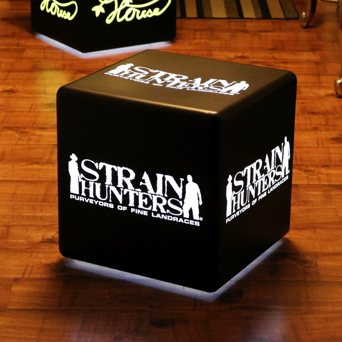 Customized Branded Light Box, Multi-Color Free Standing Display Lamp, Printed Cube 30cm